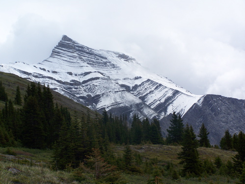 Berg Wilcox Creek