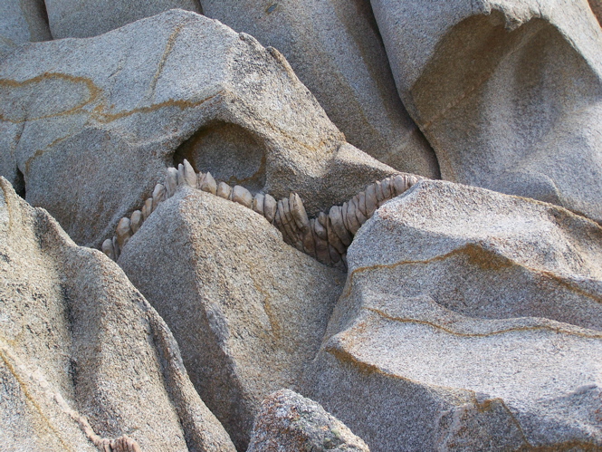 Capo Testa