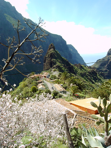 Masca