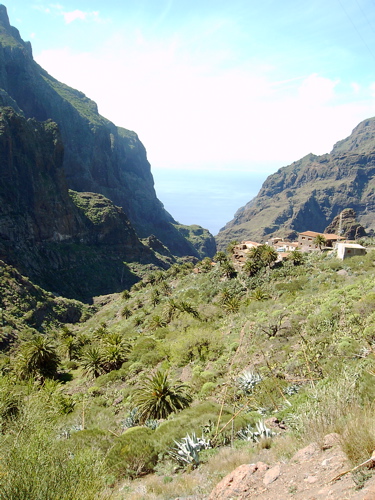 Masca